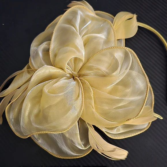 Beloved Millinery | Accessories | Beautiful 3 Pc Fascinator  display picture 1